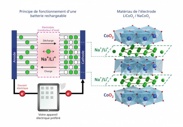 Principe de fonctionnement d’une batterie lithium-ions ou d’une future batterie sodium-ions (à gauche), et structure du matériau de la cathode (à droite). Le matériau de la cathode est composé de couches d’oxyde de cobalt (CoO2) entre lesquelles se trouvent des couches d’ions mobiles de lithium, respectivement de sodium.