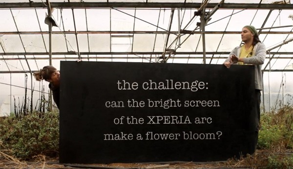 L&rsquo;écran brillant du Sony Ericsson Xperia Arc peut-il faire grandir des fleurs ?