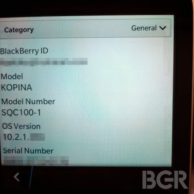 blackberry-kopi-2