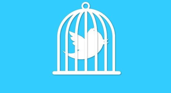 twitter cage