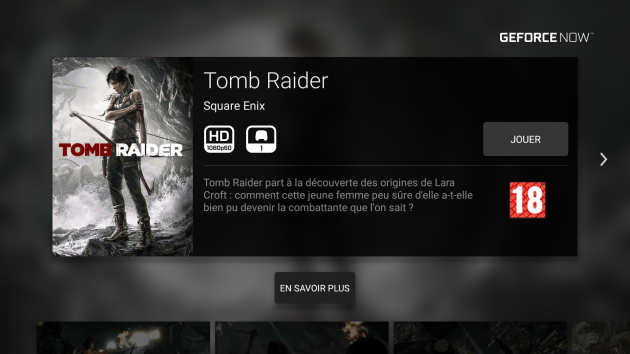 Tomb raider Shield