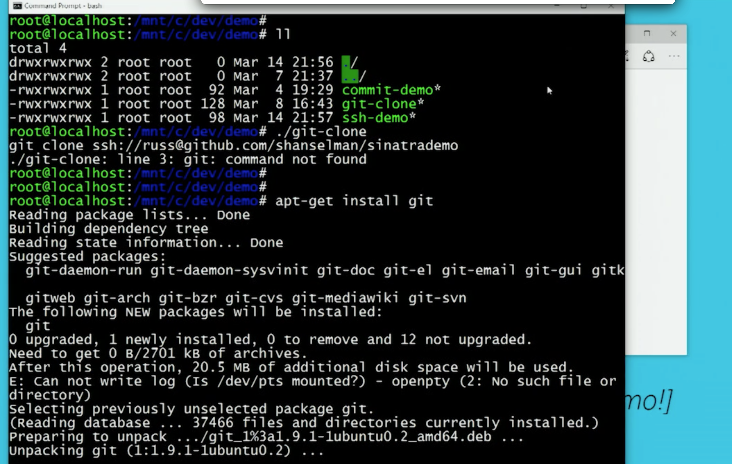 Git package. Read in Bash Linux.