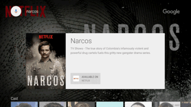 Netflix Android TV
