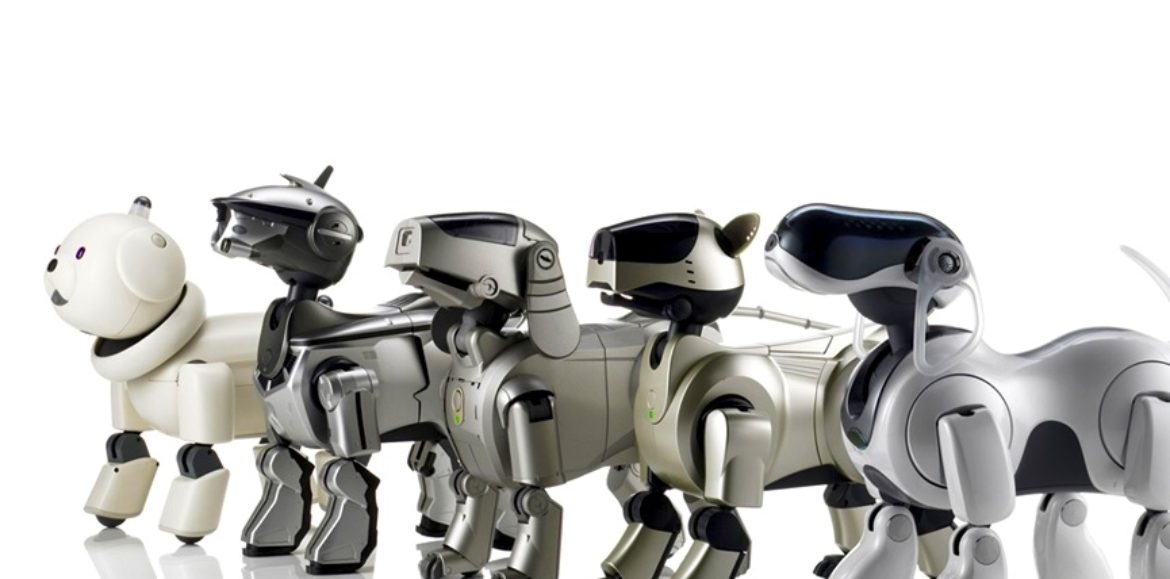 Xiaomi CyberDog 2 : le chien-robot ressemble enfin à un chien