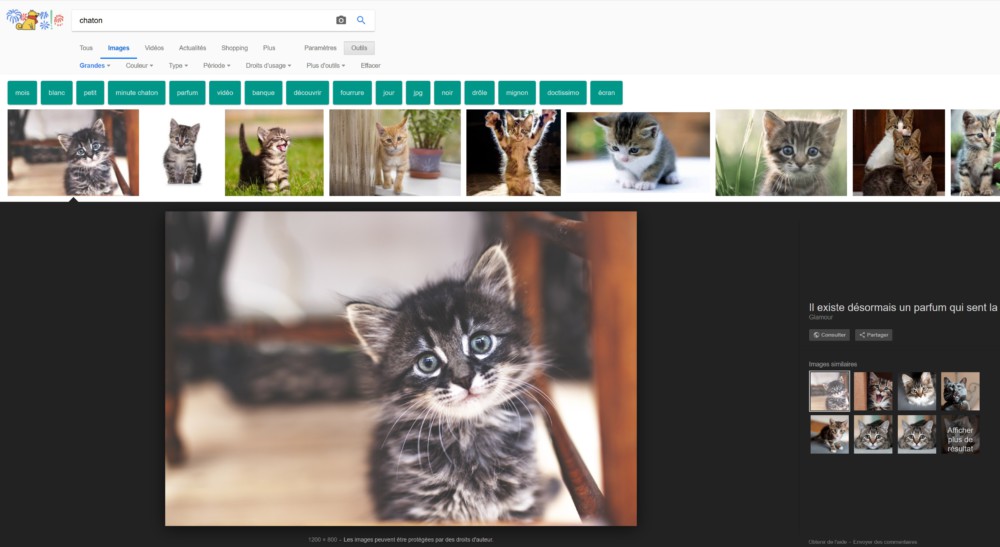 « Afficher l'image » : la recherche sur Google Images perd ... - 1000 x 547 jpeg 82kB