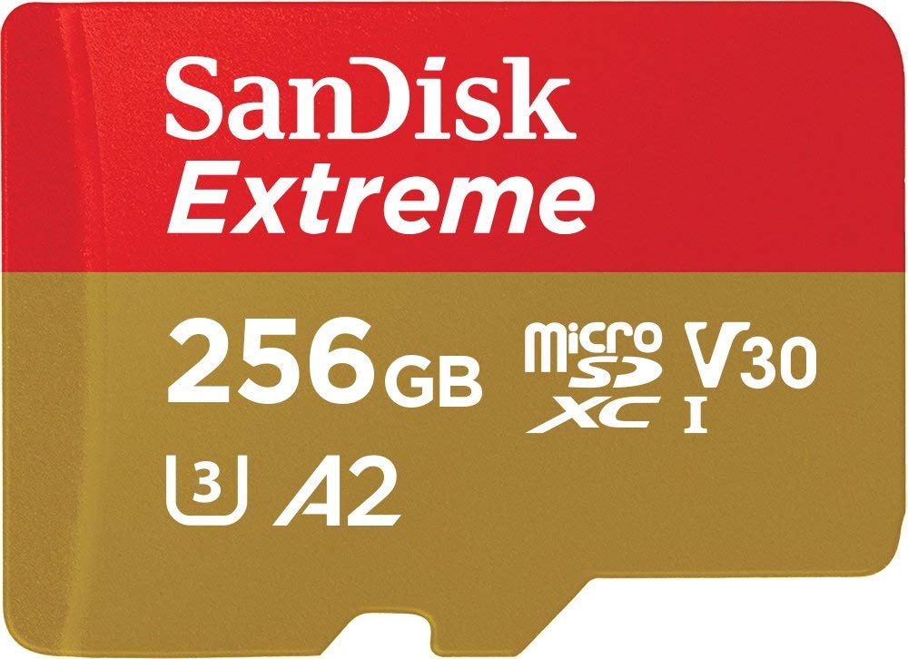 Quelles cartes SD et microSD choisir en 2024 ?