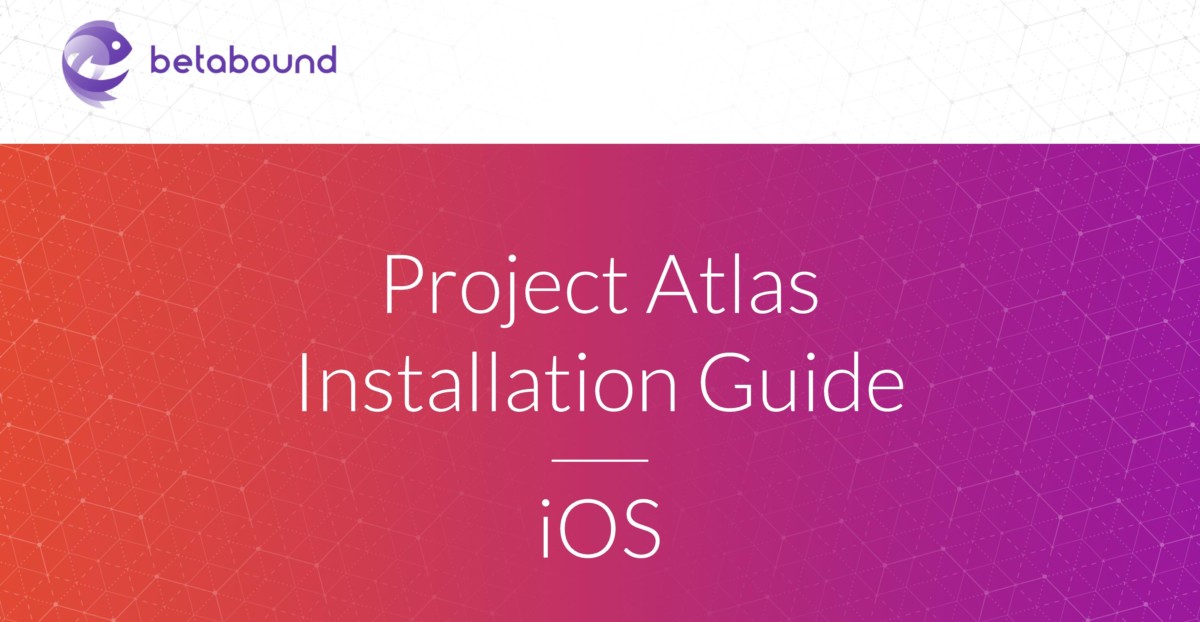 Facebook-Project Atlas