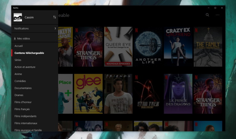 Netflix  comment télécharger des films et séries sur PC pour les