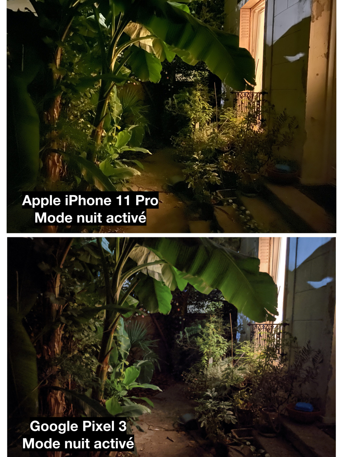 Mode nuit // Comparaison entre l’iPhone 11 Pro et le Pixel 3