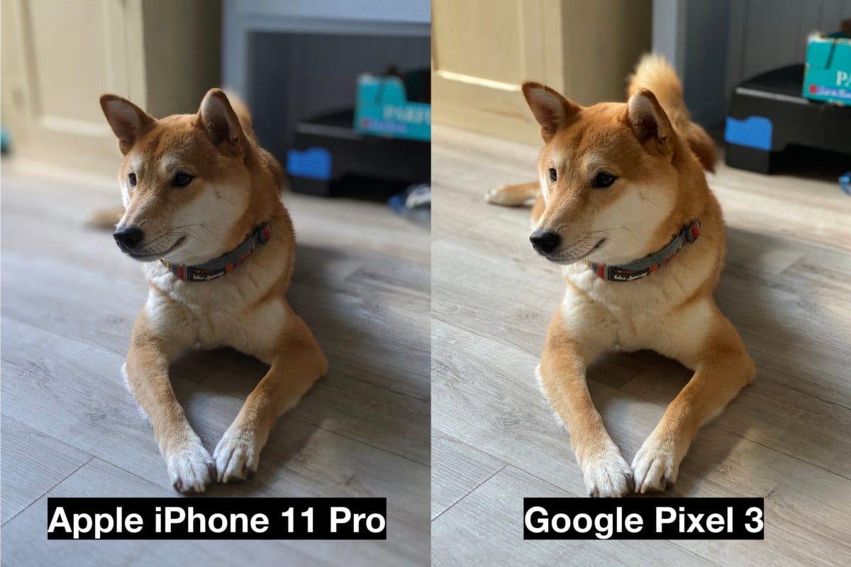 Mode portrait // Comparaison entre l’iPhone 11 Pro et le Pixel 3