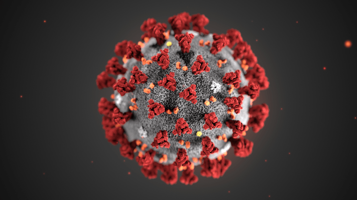Maquette du nouveau coronavirus