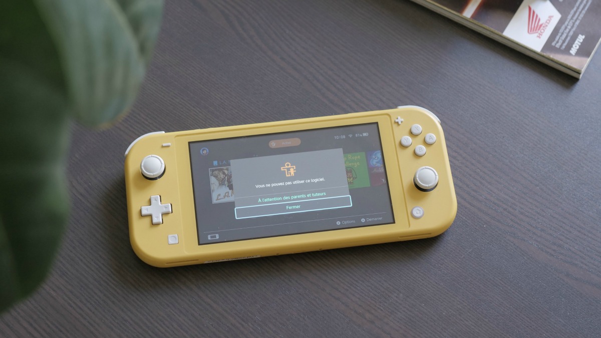 Nintendo Switch Lite : une console achetée, un jeu à moitié prix à