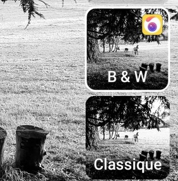 Photographie en noir et blanc : les secrets d'une photo réussie sur  smartphone