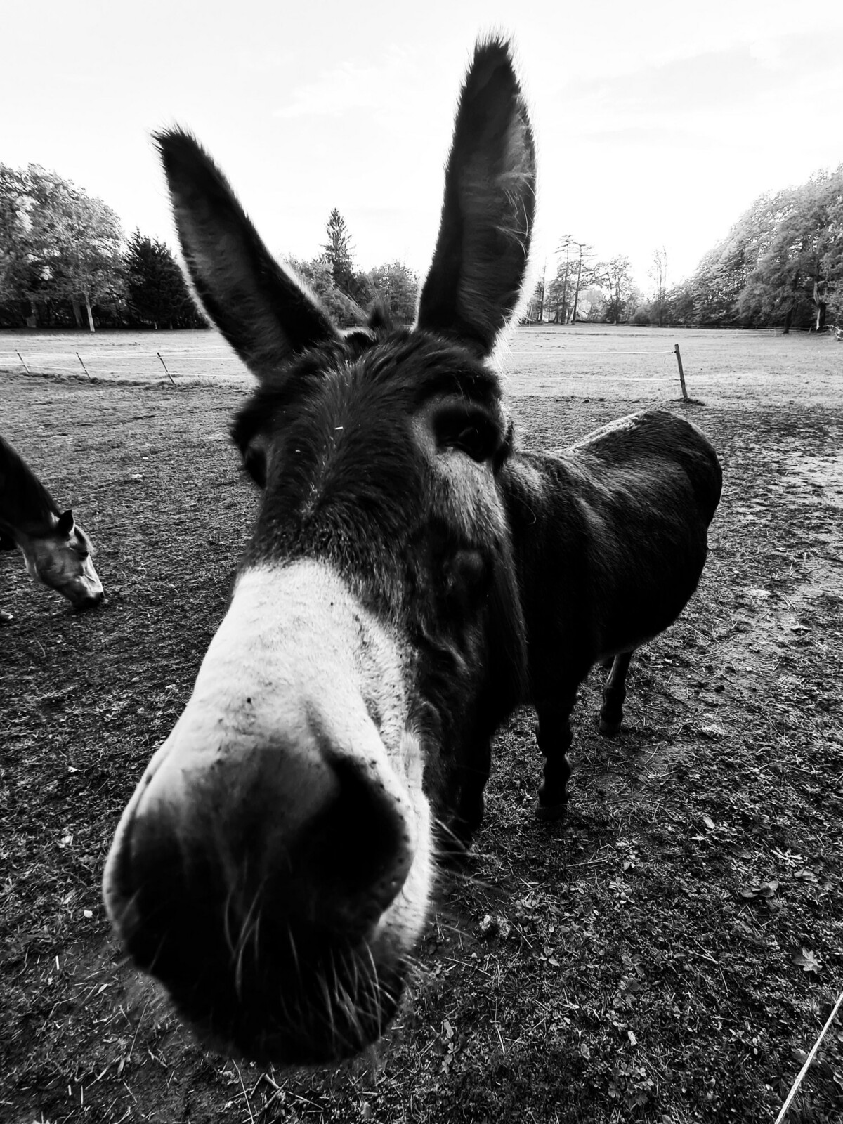 Photographie en noir et blanc : les secrets d'une photo réussie sur ...