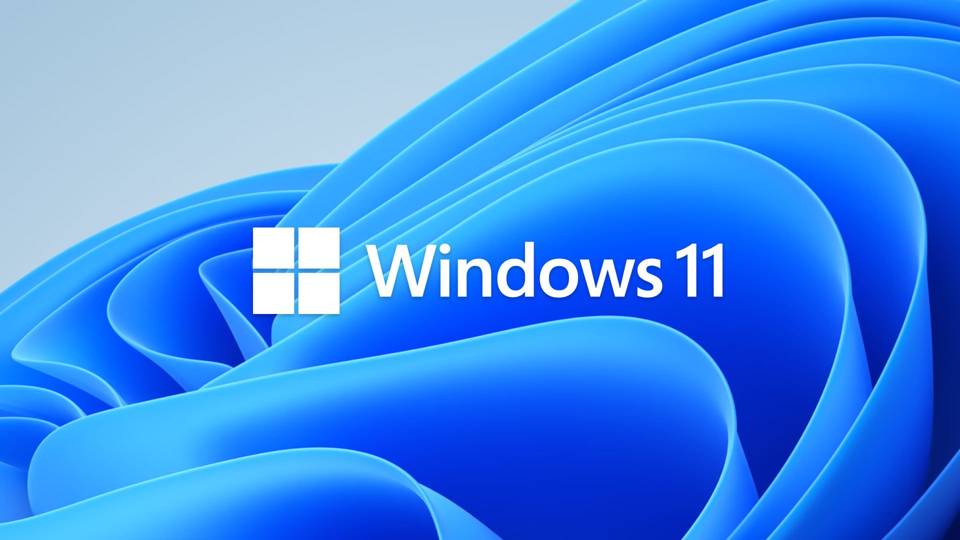 [Image: windows-11-logo-hero.jpg]