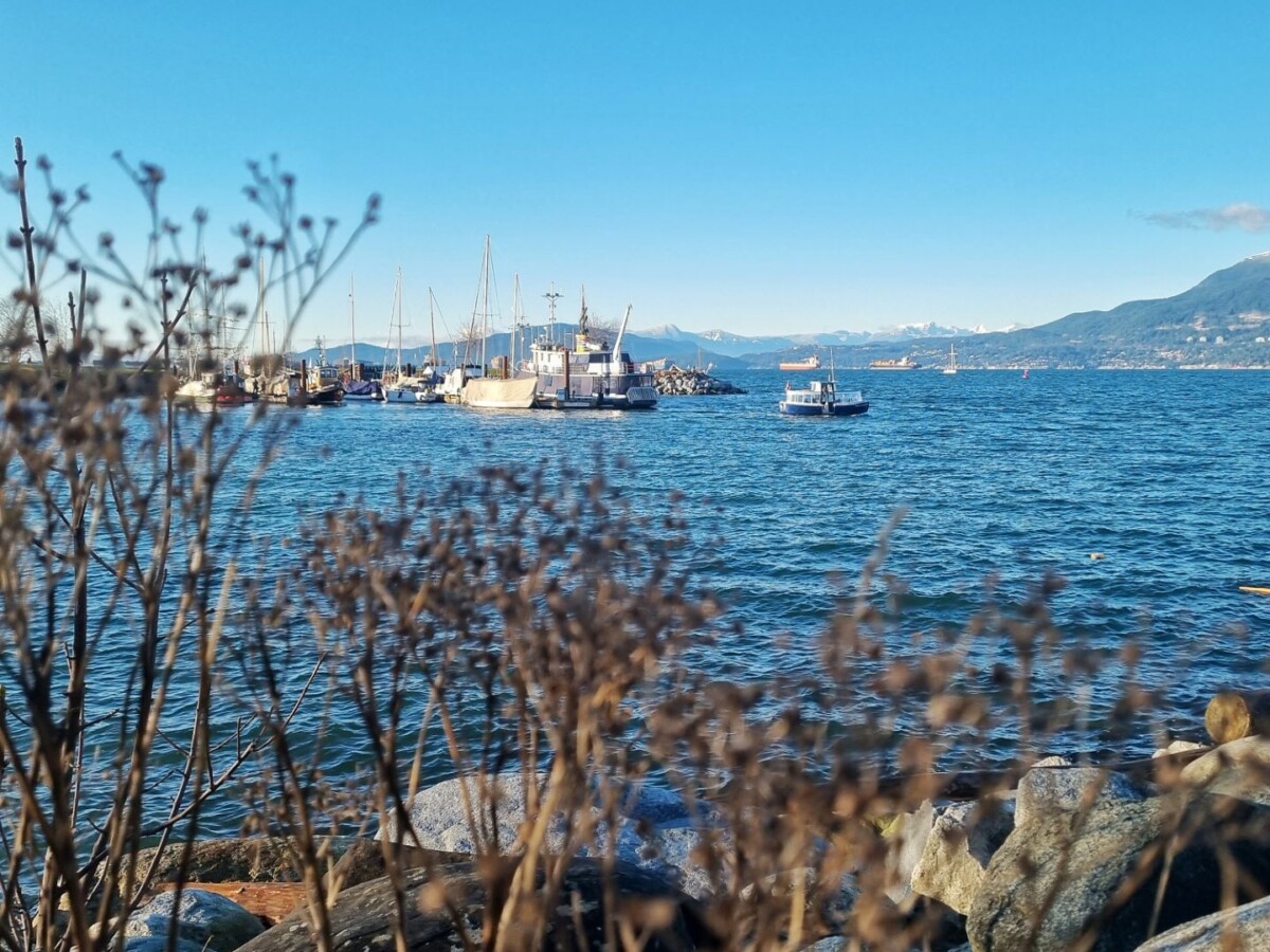 Same principle here, I deliberately positioned these tall grasses in the foreground, to better highlight the small boat in the distance.