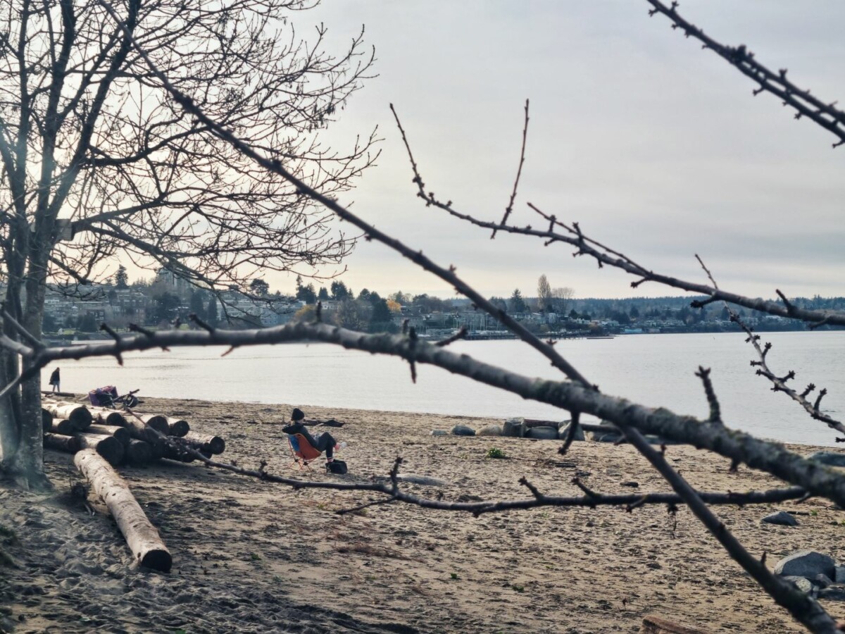 Here I deliberately positioned these branches in the foreground, in order to frame the subject visible in the distance, rather than making a classic framing from the beach without a frontal element.