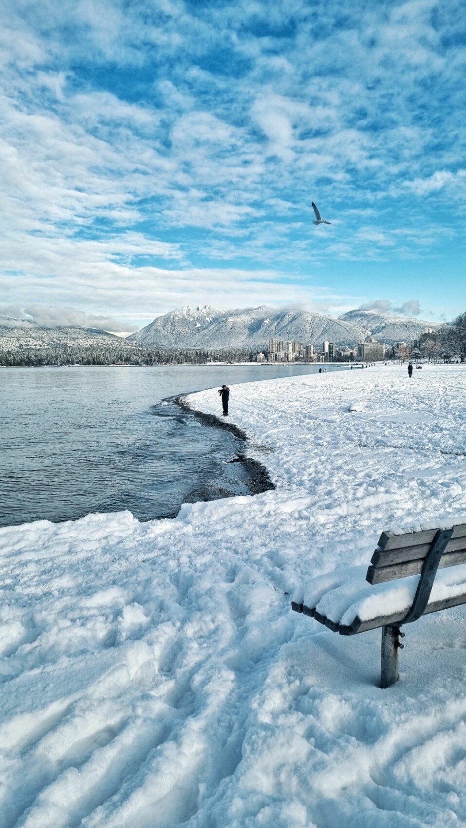 Here, the very visible vanishing line created between the sea and the snow naturally leads us to look at the image from the left all the way to the background on the right towards the mountains.  I could also have moved closer or shifted a little to the left to accentuate it.