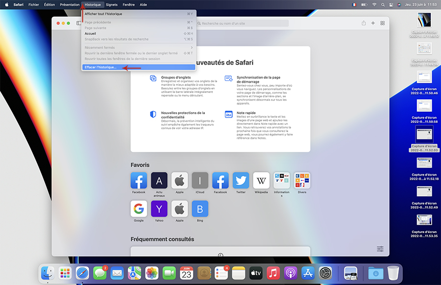 effacer partiellement historique safari