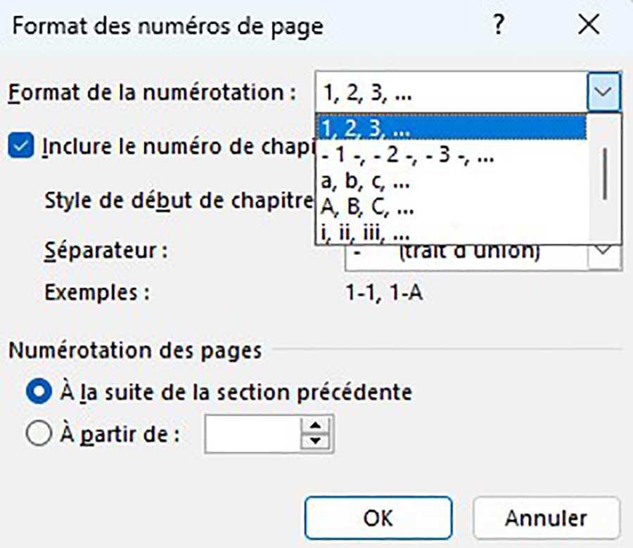 Comment Numéroter Les Pages Dun Document Word 0198