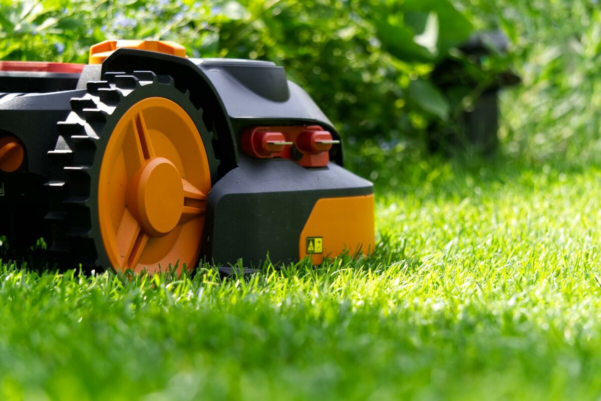 Un robot tondeuse sur une pelouse