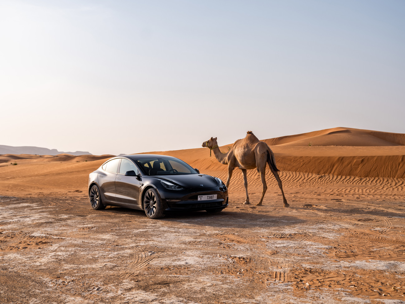 Tesla Model 3 restylée : faut-il croire à cette photo ? Et pourquoi elle  nous déçoit