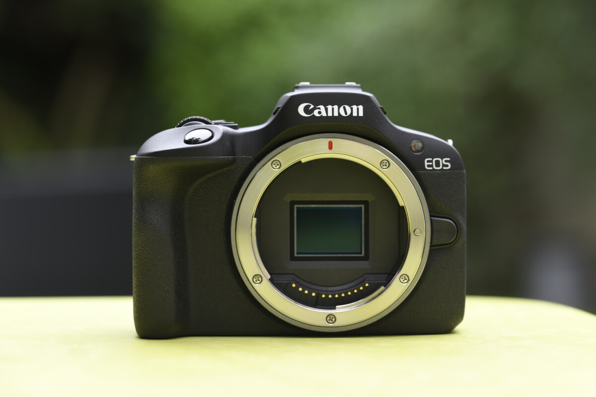 Le capteur APS-C du Canon EOS R100