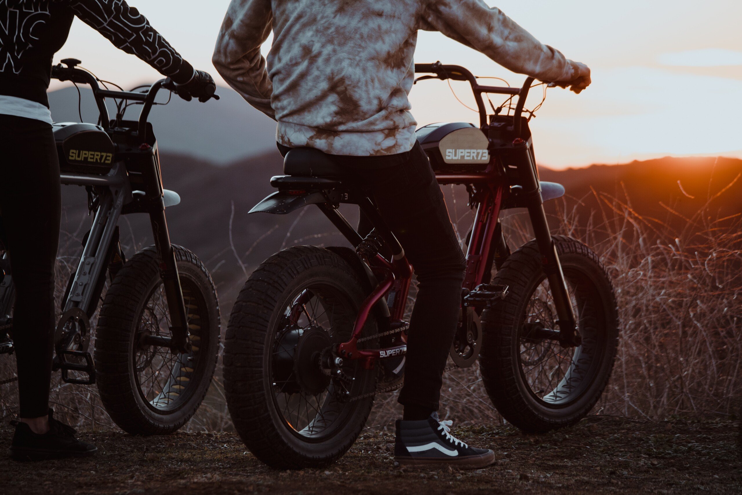 Why are the electric bicycles of this famous brand sold in France on the verge of legalization