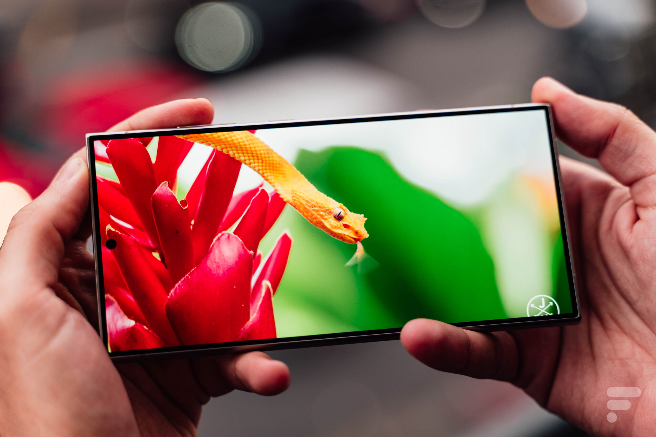 Le Samsung Galaxy S24 Ultra apparaît dans des images réelles
