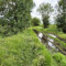 Loire à Vélo